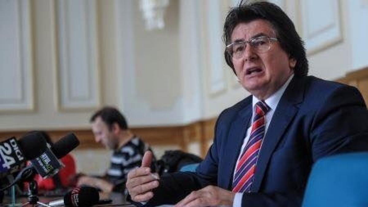 anuntul facut de primarul timisoarei ce se va intampla cu tot lemnul rezultat dupa taierea celor 3