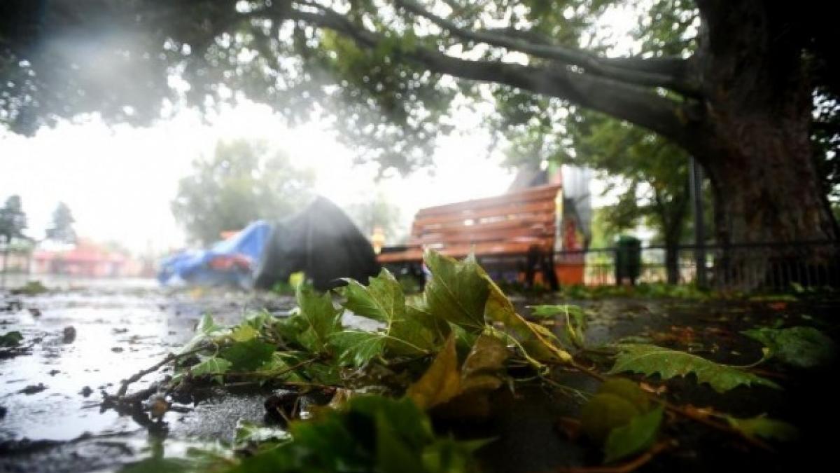 cod galben de vant puternic care sunt judetele vizate