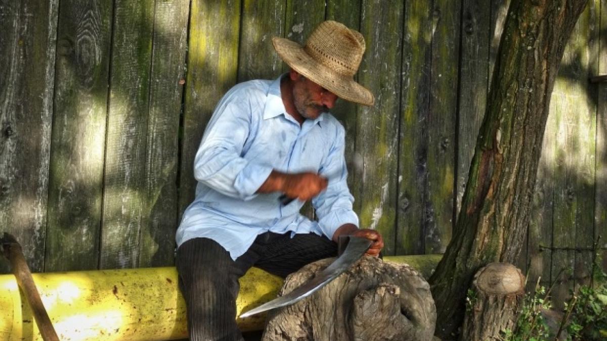 o raza de speranta locul din europa in care oamenii au gasit modalitatea de a pune capat unei