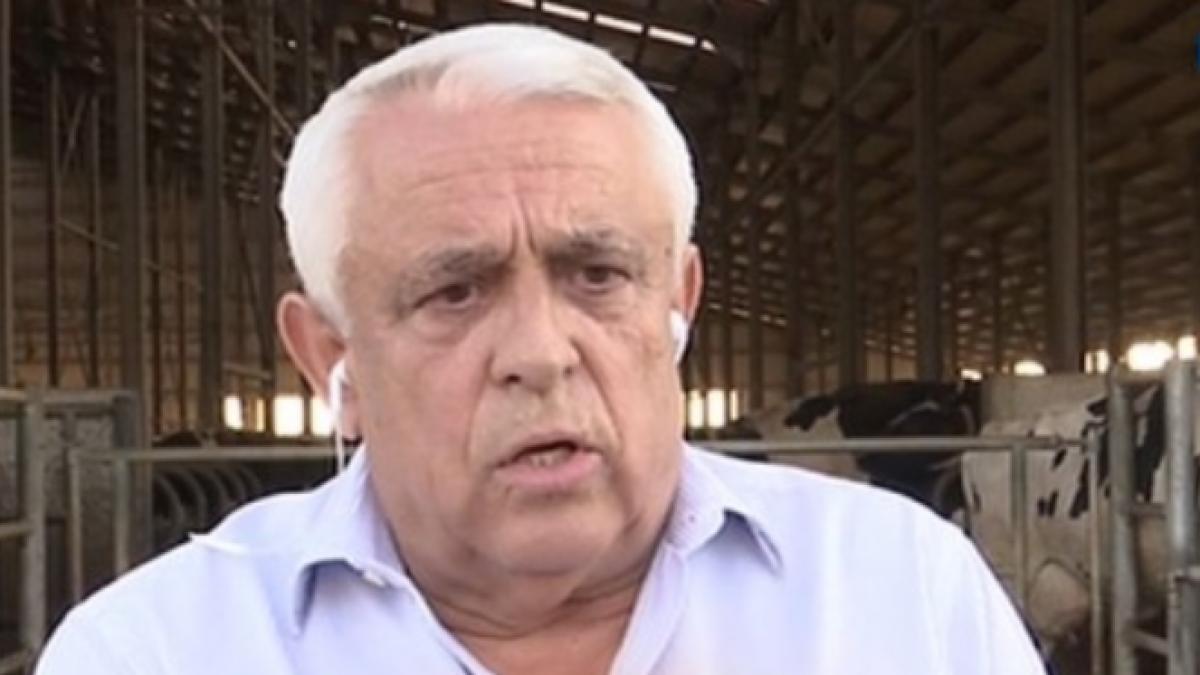 politikix daea porumbul si puii