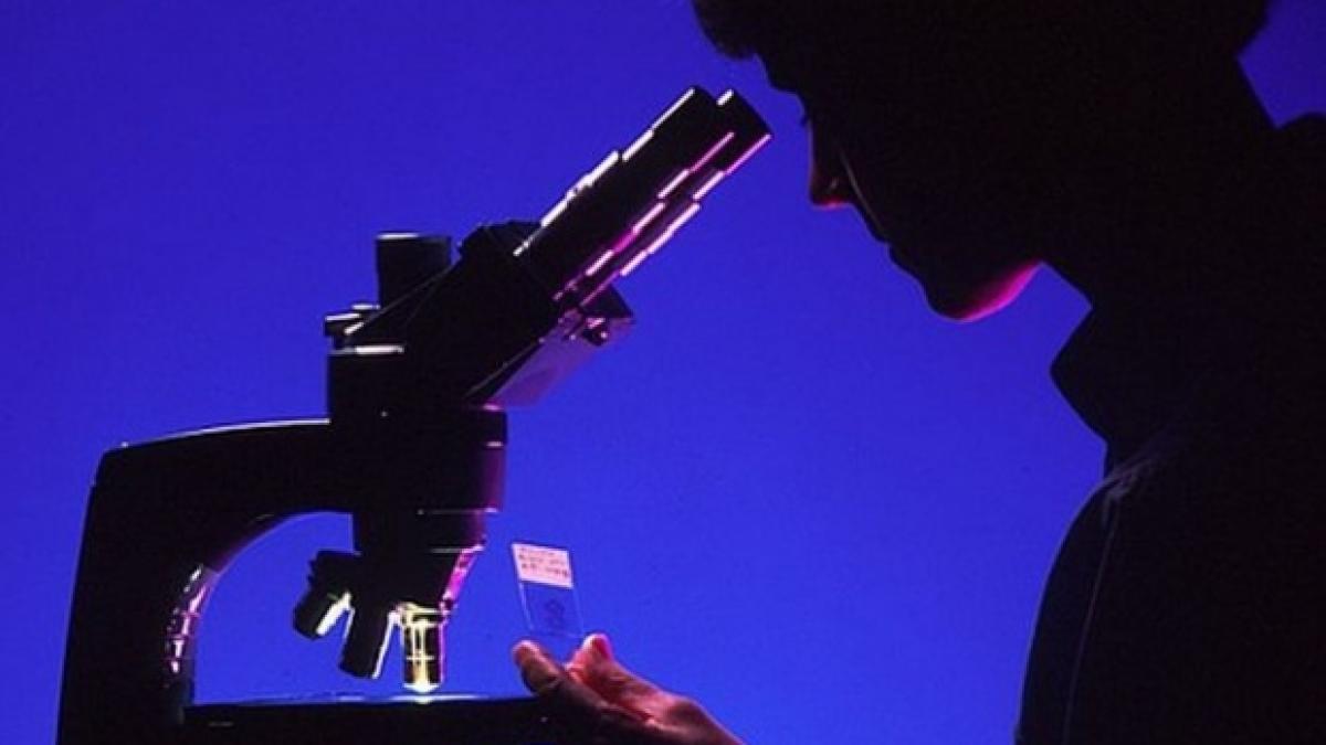 descoperire uluitoare a oamenilor de stiinta cercetatorii au descoperit cauza principala a