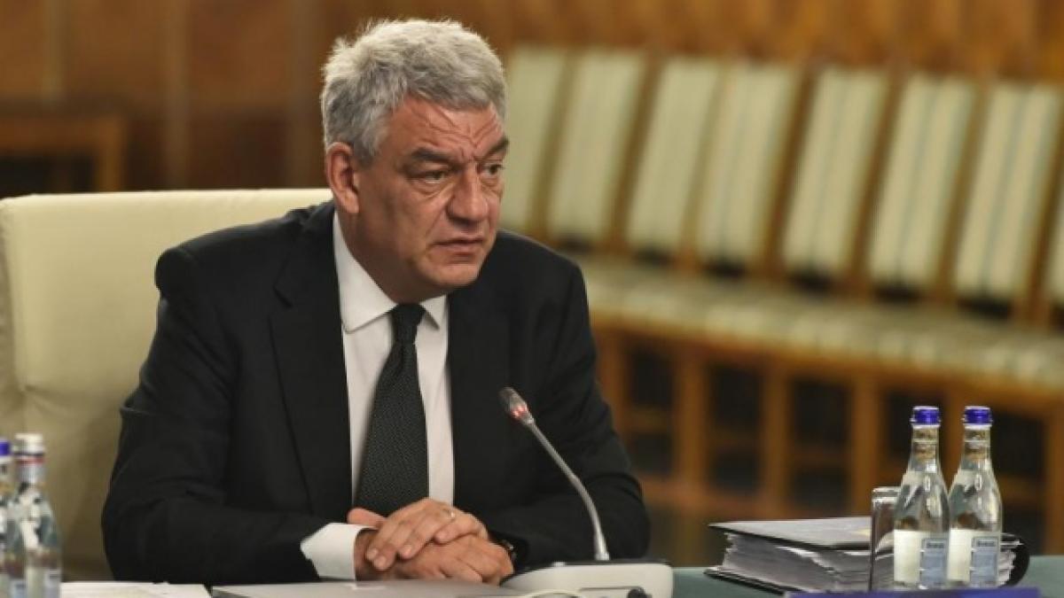 premierul tudose ar urma sa ceara demisia lui sevil shhaideh surse