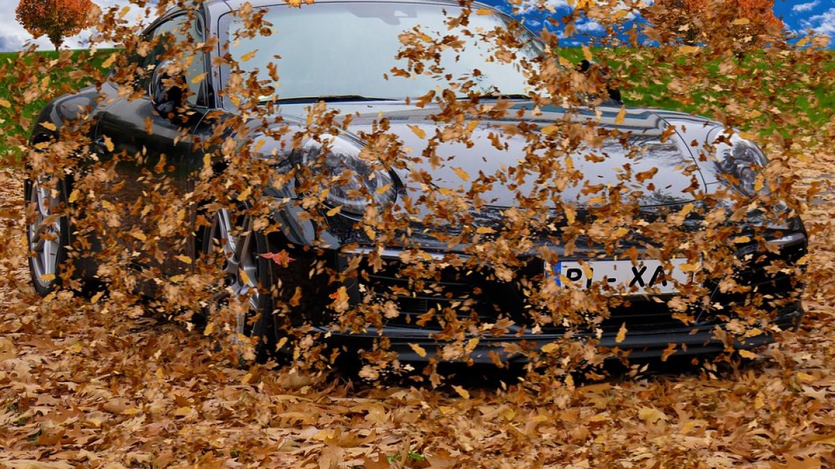 cod galben de vant ce judete sunt vizate