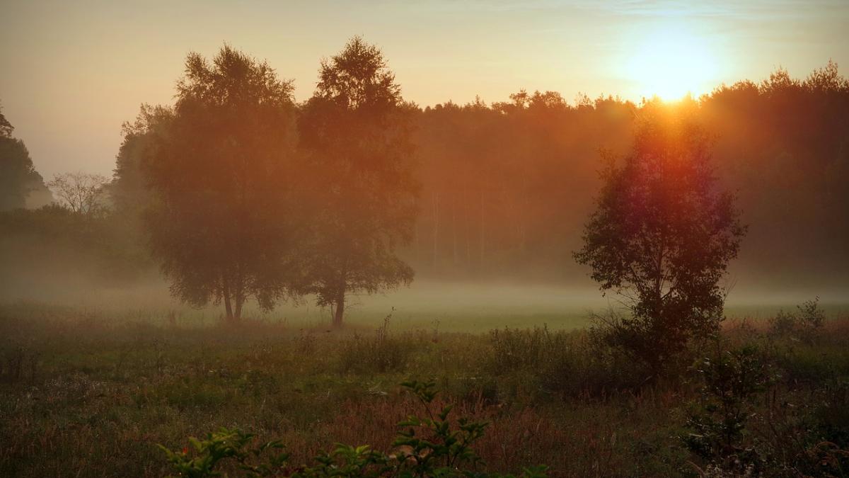 prognoza meteo ce temperaturi si ce fenomene vom avea in urmatoarele zile