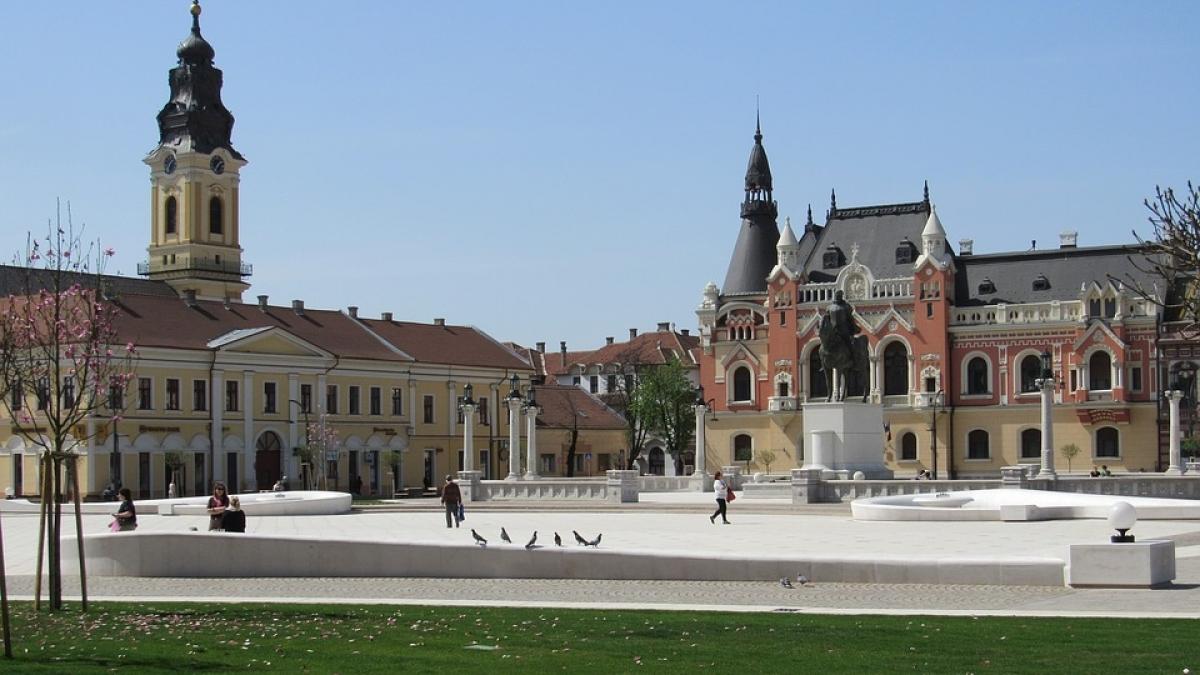 totul in maghiara primaria oradea obligata sa traduca informatiile de interes public