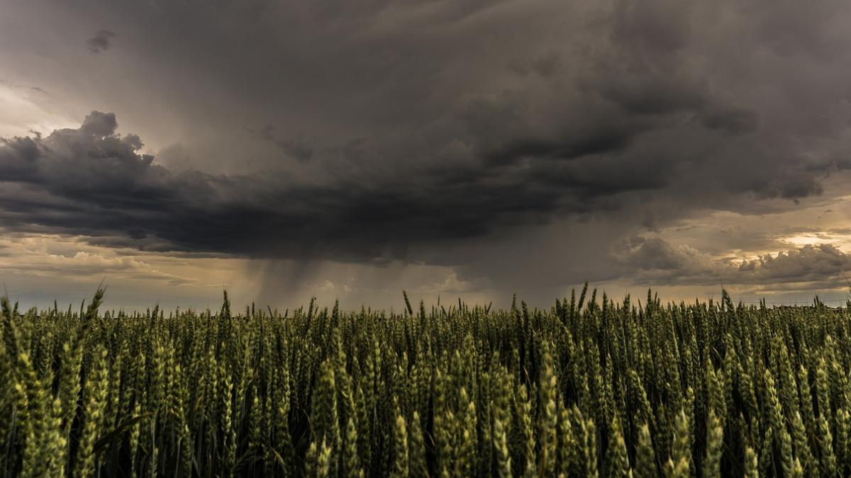 alerta de vreme rea in romania meteorologii anunta vijelii in mai multe regiuni in urmatoarele ore