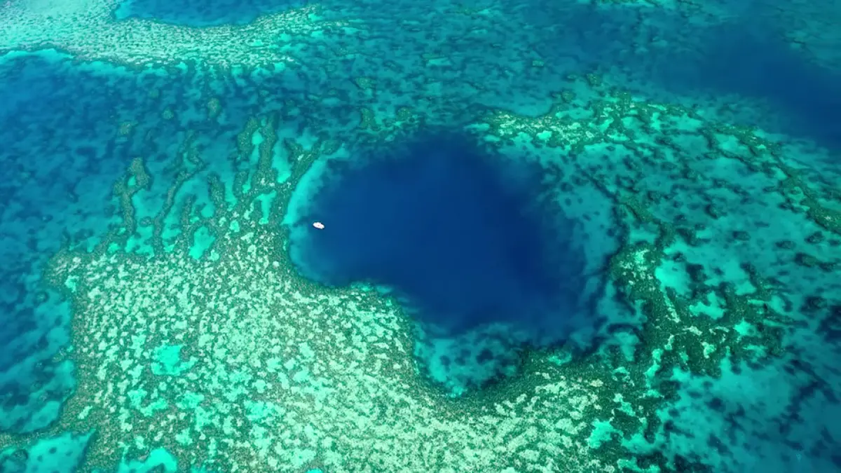 se uita pe google maps cand a vazut ceva neobisnuit in ocean la mare departare de tarm a plecat