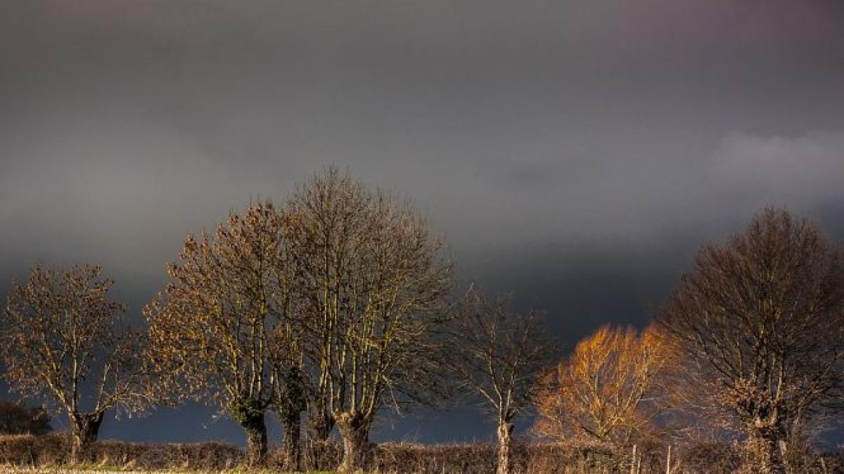 alerta meteo e cod galben de vant puternic ce judete sunt vizate