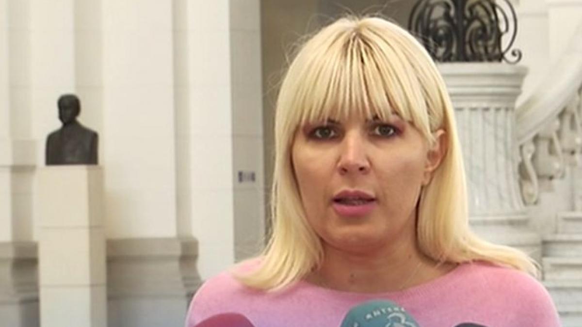 elena udrea in fata magistratilor de la curtea de apel bucuresti