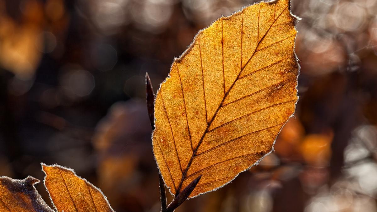 vremea va fi rece in aproape toata tara prognoza meteo pentru urmatoarele zile