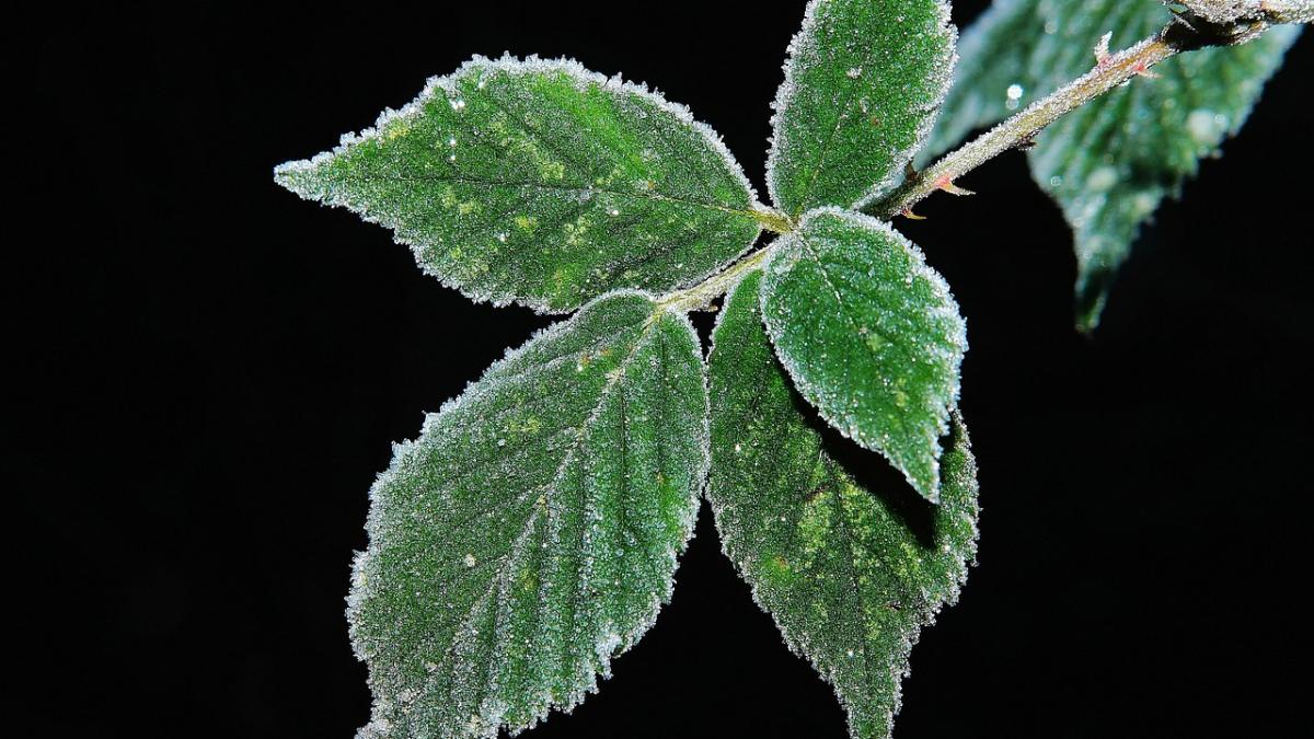 a venit iarna la miercurea ciuc temperaturi de minus sase grade celsius