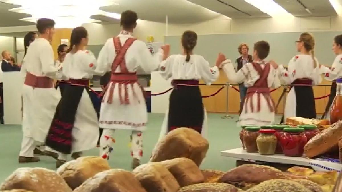 cum s au indragostit de romania oficialii de la bruxelles