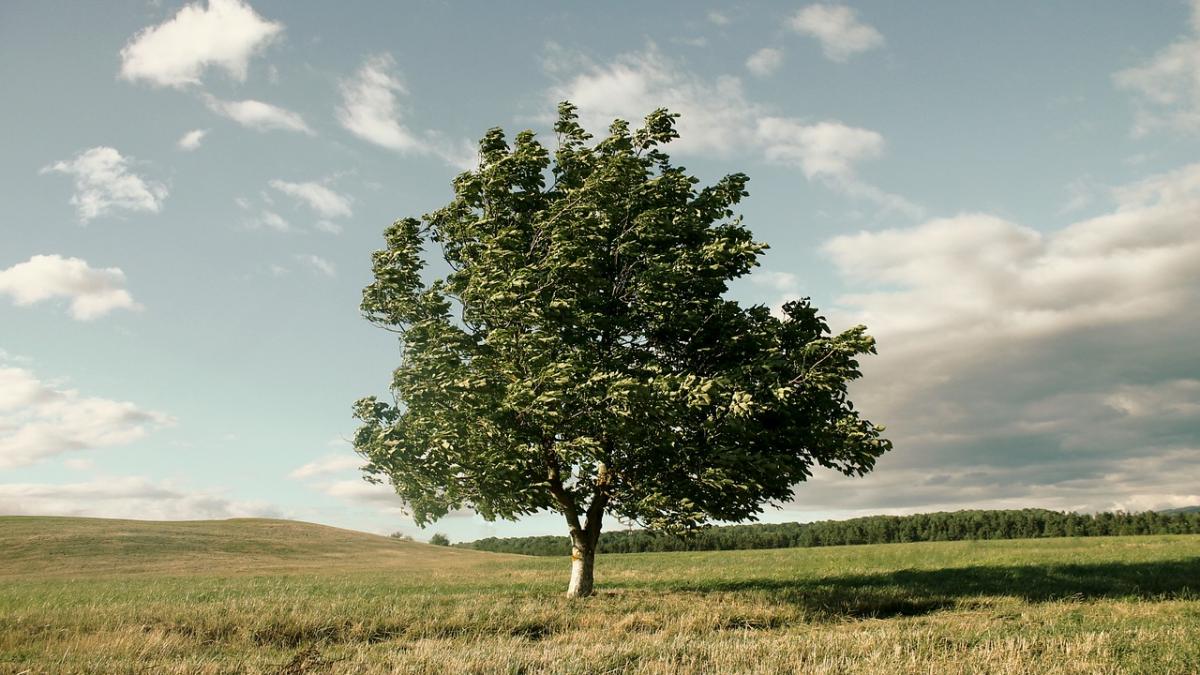 alerta de vreme rea in romania meteorologii anunta vijelii