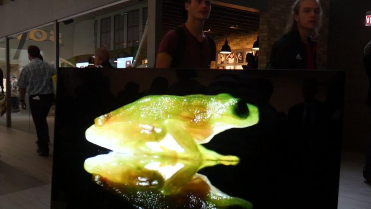 24 it cum arata televizorul tablou