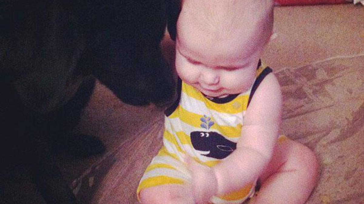 de fiecare data cand bona copilului isi facea aparitia cainele familiei devenea extrem de agresiv