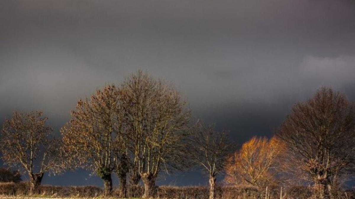 cod galben de vant in mai multe judete din tara rafalele vor atinge chiar si o suta de kilometri la