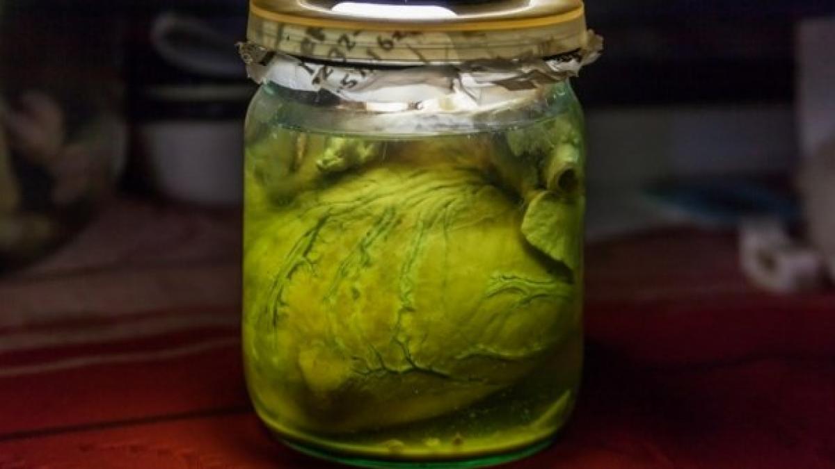 medicul isi soca studentii de fiecare data cand ii aducea in cabinetul sau acesta tinea de ani buni