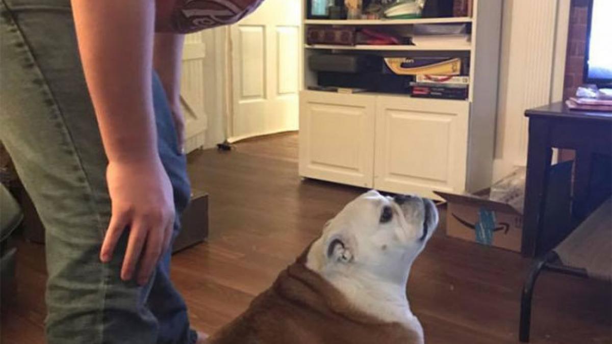 priveste cu atentie aceasta fotografie in spatele ei se ascunde o poveste tragica