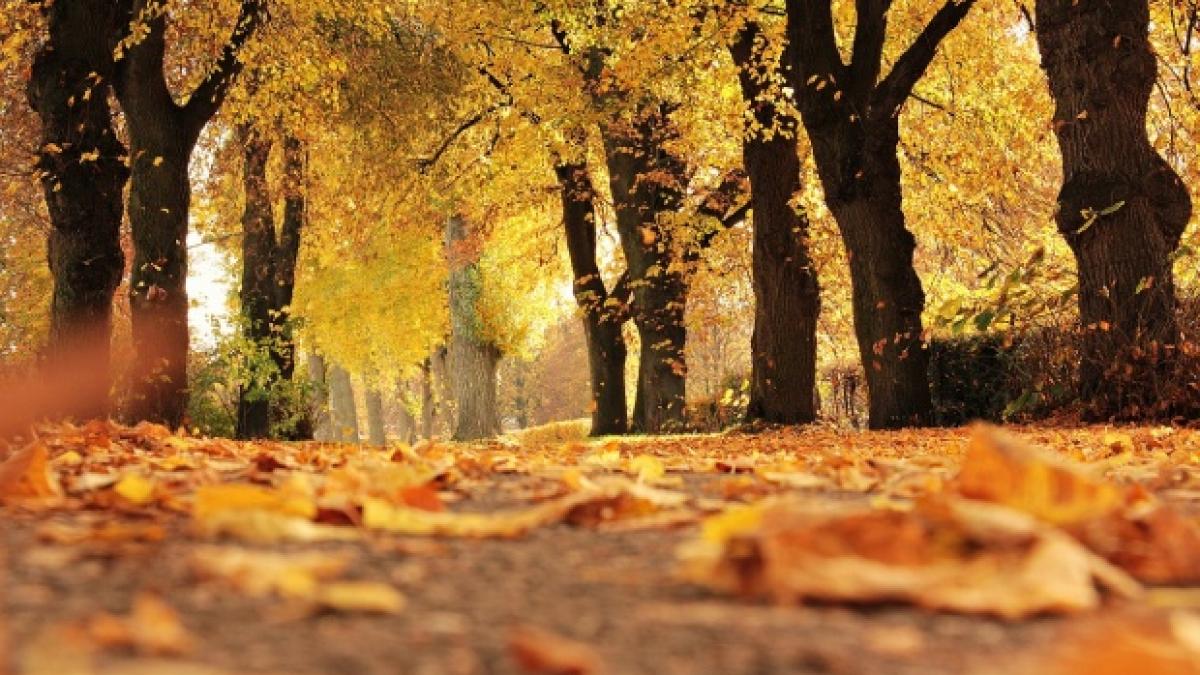 vesti bune de la meteorologi cand se va incalzi