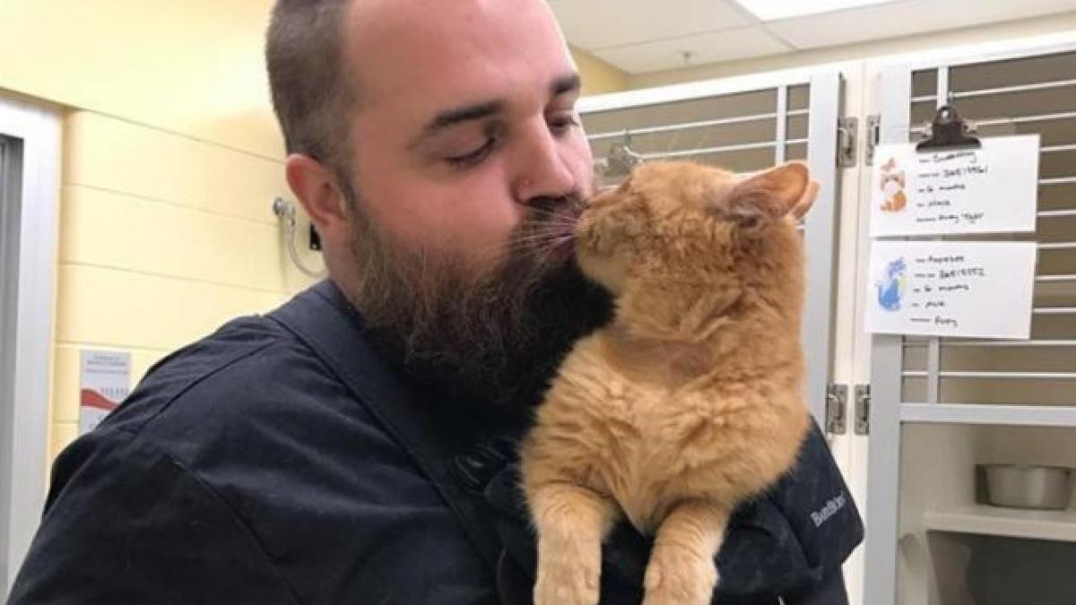 a gasit o pisica pe strada si a dus o la un adapost cand se indeparta de ea pisica incepea sa