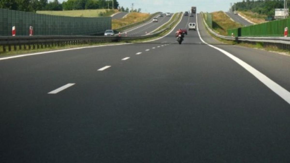 aparitie socanta pe autostrada a1 soferul a crezut ca nu vede bine a scos imediat telefonul si a