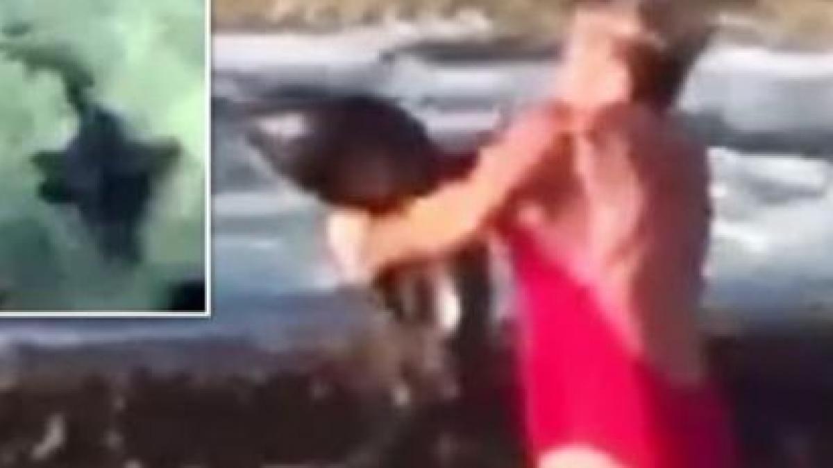 imaginile care au devenit virale o femeie salveaza un rechin purtandu l pe brate pana in ocean