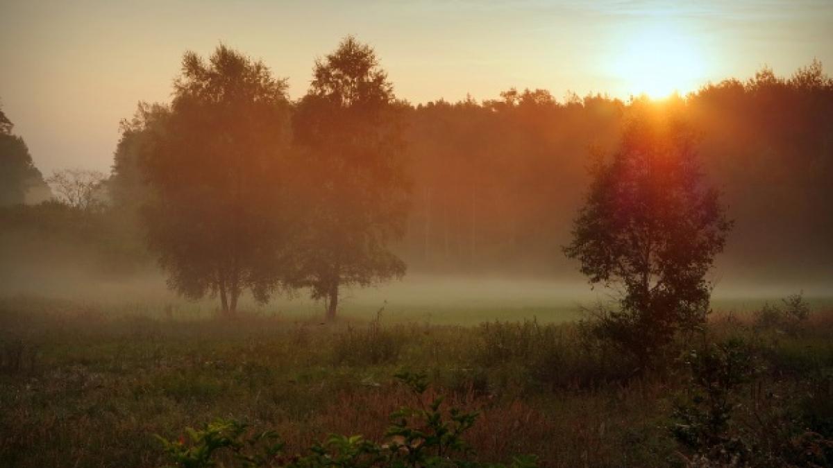 vremea continua sa se incalzeasca prognoza meteo pentru sfarsitul saptamanii