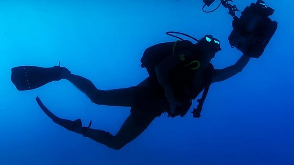 descoperire impresionanta in apele marii aproape de navodari