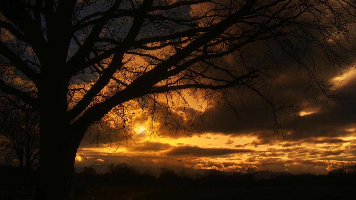 prognoza meteo pentru weekend