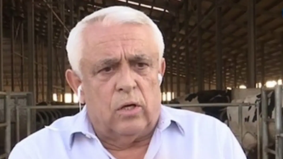 politikix daea oul si vosganian