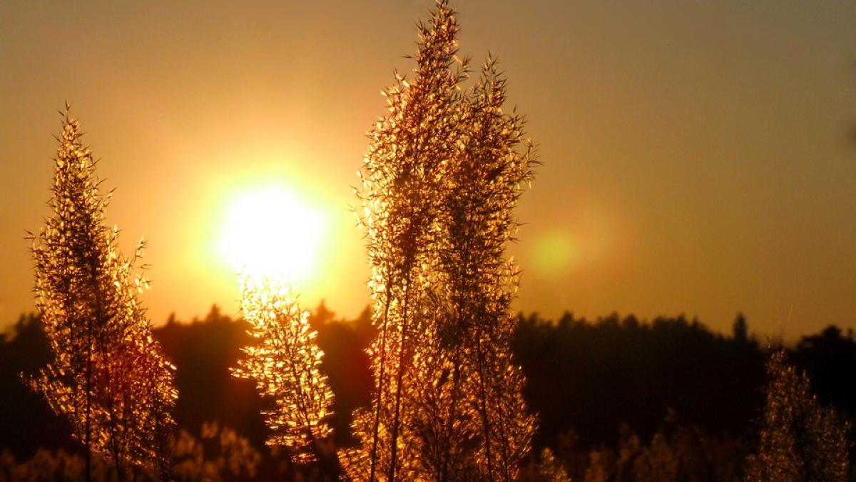 cum va fi vremea in vara anului 2018 in contextul schimbarilor climatice care afecteaza romania