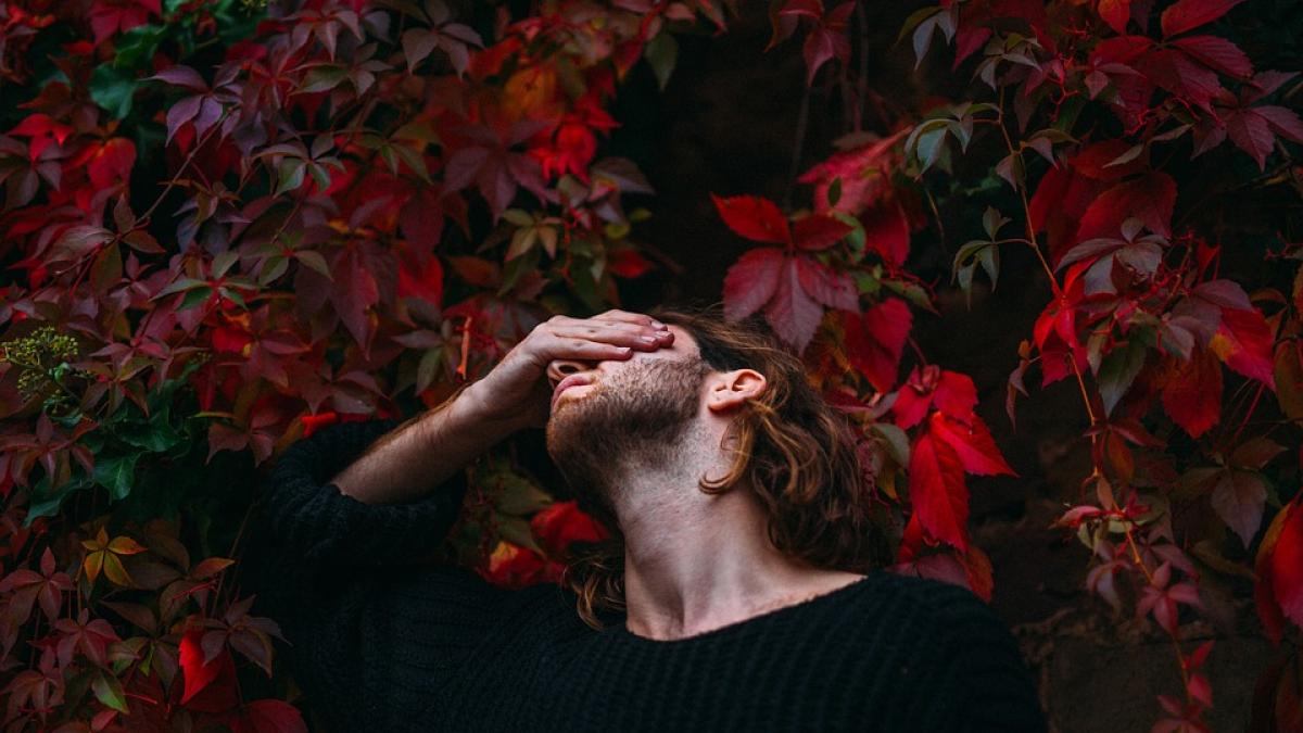 semnele precoce ale bolii alzheimer iata ce nu ar trebui sa ignori sub nicio forma