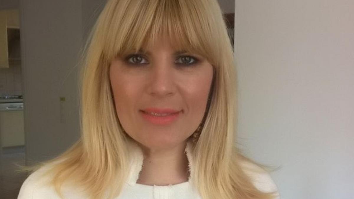 elena udrea face dezvaluiri socante din interiorul sistemului
