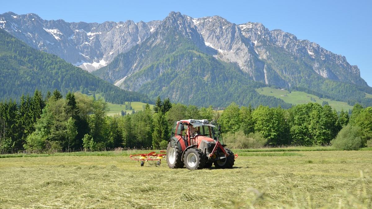 nu vedeti ca va vindeti tara fenomenul din romania care a atras atentia comisiei europene