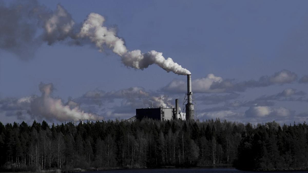 statistica alarmanta poluarea ucide mai multi oameni decat razboiul sau foametea aproape 12 din