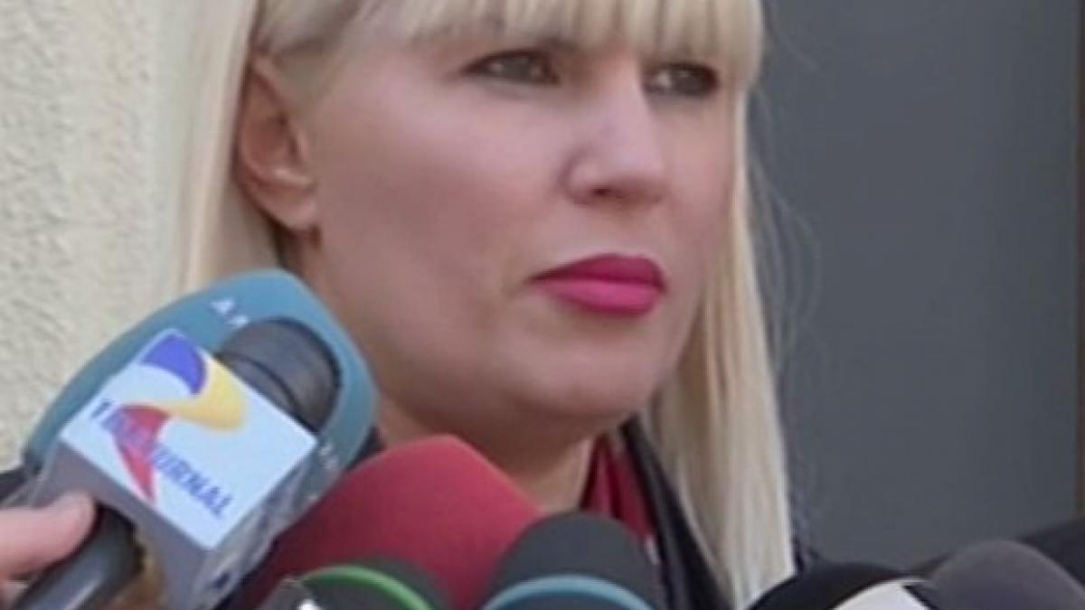 udrea scapa de acuzatia de luare de mita de la buzaianu video