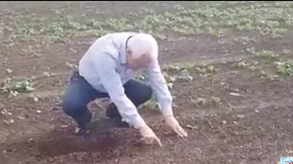 politikix petre daea si vrejul fermecat ce cauta ministrul agriculturii in pamant