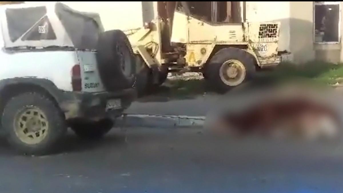 cruzime fara margini un vitel a fost legat cu sfoara si tarat de un autoturism video