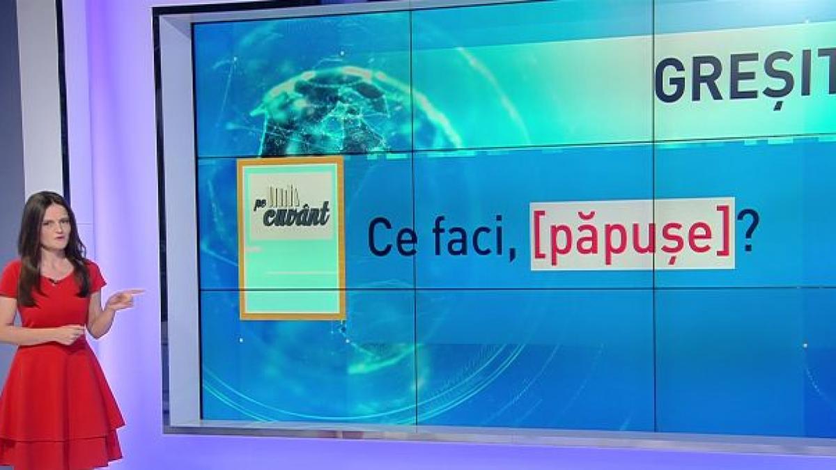 pe cuvant cu ana iorga cum spunem corect use sau usa