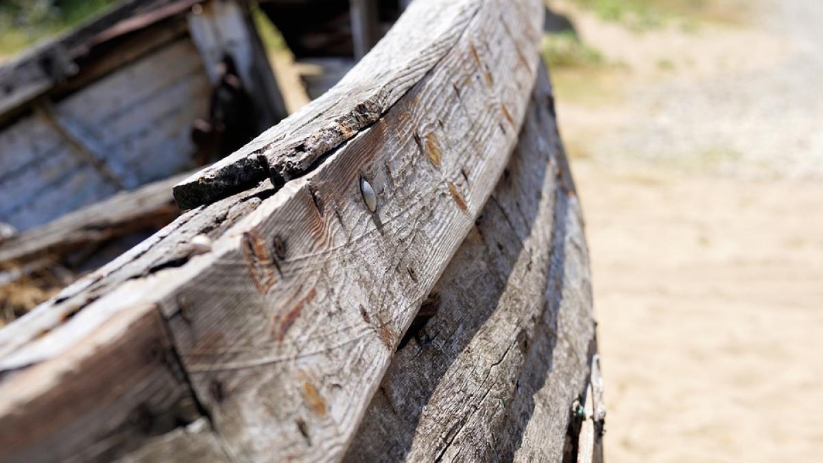 povestea incredibila a barcii vechi de 200 300 de ani descoperita in satu mare