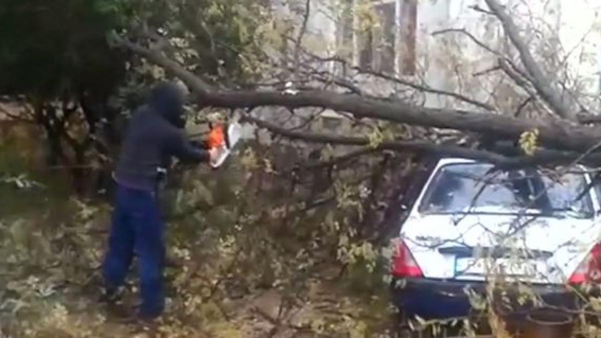 furtuna puternica in bucuresti mai multi copaci au fost doborati de vant masini avariate video