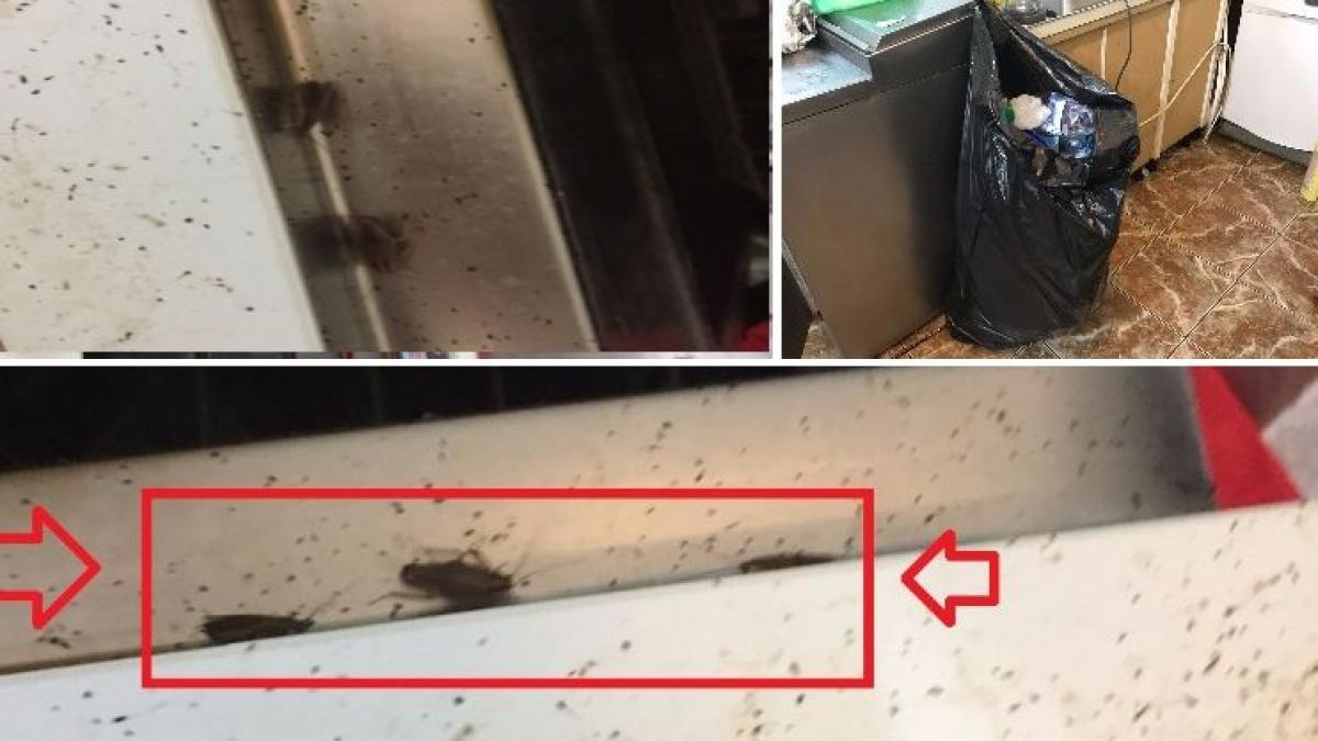 gandaci gasiti de protectia consumatorilor intr o autoservire din constanta unitatea a fost inchisa