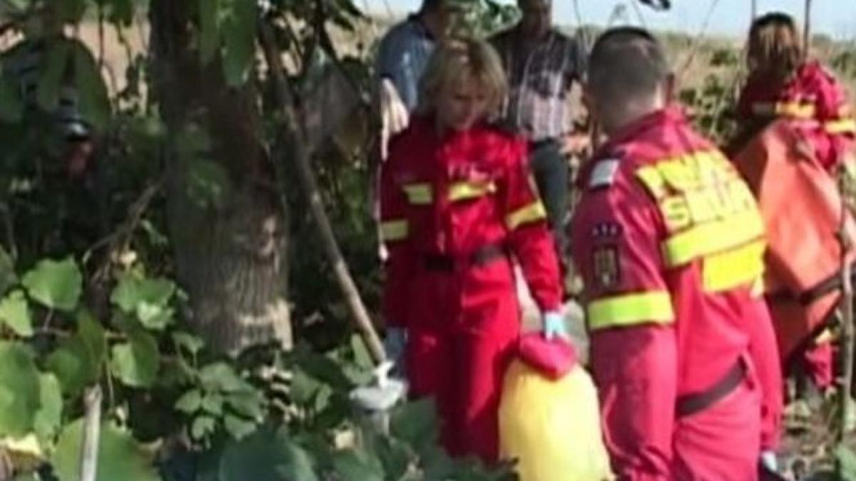 s a dus sa culeaga strugurii si a facut o descoperire socanta ce a gasit romanul in vie politia a