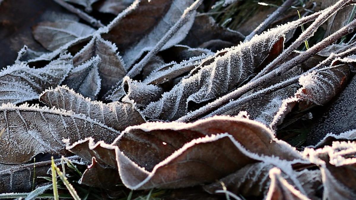 cat mai dureaza vremea rea prognoza meteo pentru zilele urmatoare