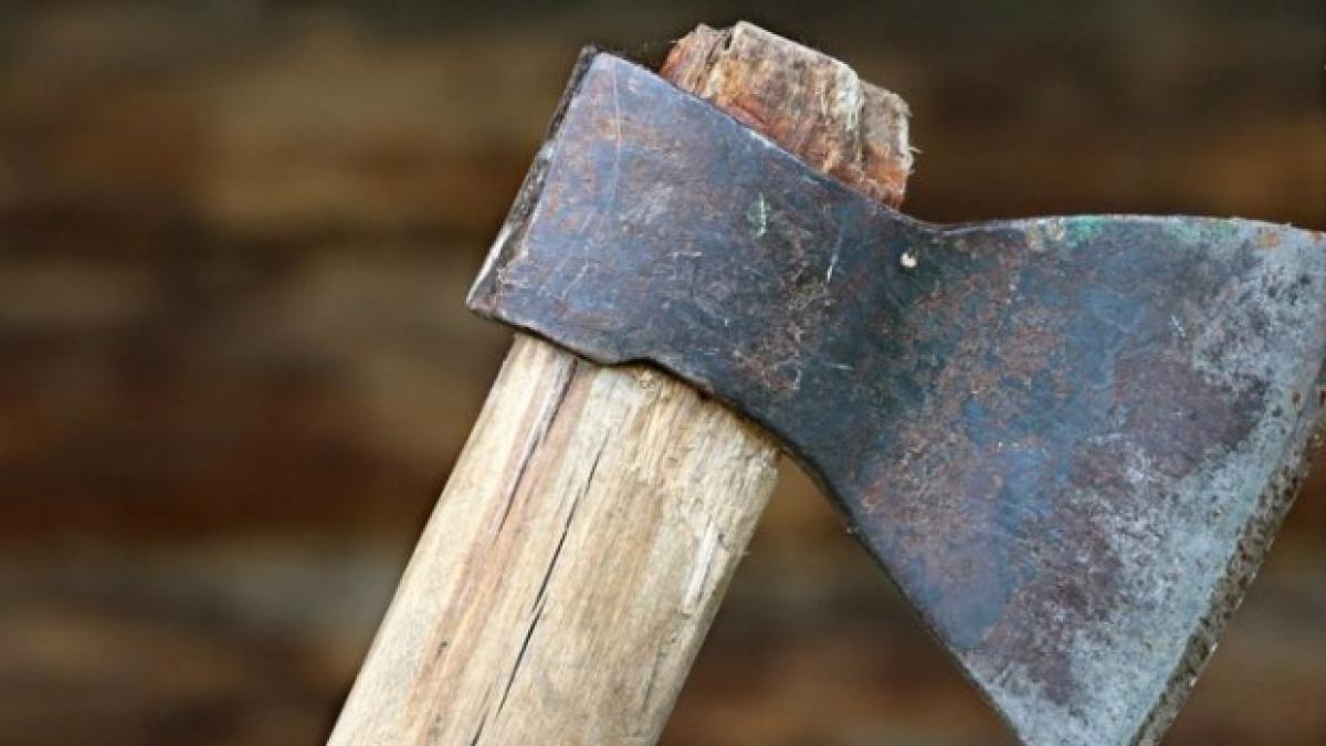 caz socant in prahova un tanar si a ucis tatal cu mai multe lovituri de topor insa ce a urmat