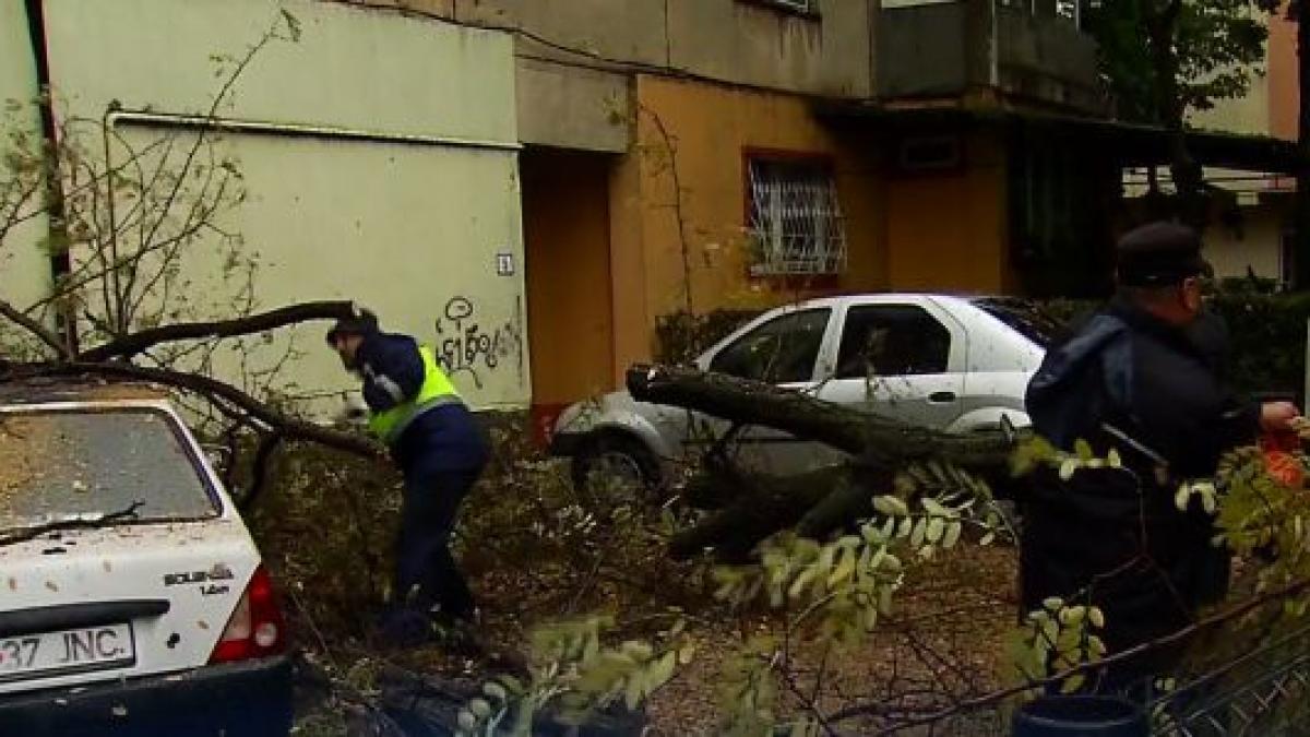 vijelia a facut prapad in capitala un mort doi raniti si zeci de masini distruse video