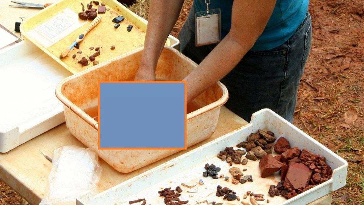 tezaur de monede din secolul al v lea descoperit in cetatea argamum