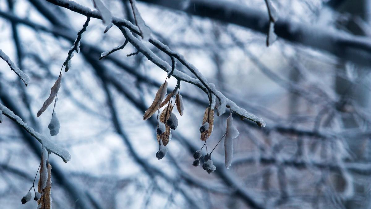 fenomenul extrem care loveste romania zilele urmatoare e un vortex polar