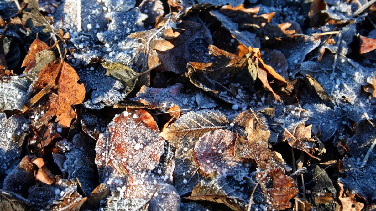 prognoza meteo pentru zilele urmatoare ce se intampla cu vremea