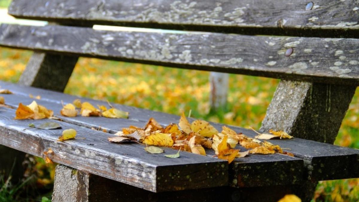 cum va fi vremea in noiembrie anm temperaturi cum nu au fost in ultimele decenii